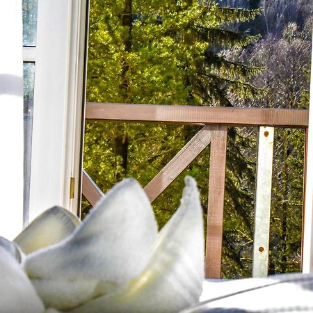 Villa Wilisch Amtsberg ภายนอก รูปภาพ